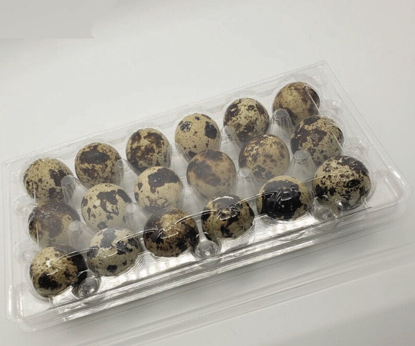 50 Pack Jumbo Egg Cartons for Quail Eggs