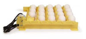 Incubator GQF HovaBator Still/Thermal Air Egg Incubator 1602N Chicken Quail Bird