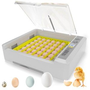 Cofiyard Incubators for Hatching Eggs, Automatic Egg Turning, Temperature, Humidity Control, Incubation Days Setting, LED Screen, Adjustable Egg Tray Spacing Universal Incubator,36-60 Incubator, Grey