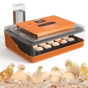 Incubators for Hatching Eggs, Egg Incubator with Automatic Egg Turning and Humidity Control. Egg Candler, and DayCounter for Chicken, Duck, and Quail Eggs Hatching for Nice Gifts, Incubadora de Huevos