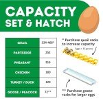 CT180SH Egg Incubator with Automatic Egg Turning & Perfect Humidity Controls, Set & Forget Design, Cabinet Incubators for Hatching Eggs, Incubate and Hatch 180 Chicken Eggs | Hatching Time
