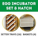 HB700C Egg Incubator with Hatcher Combo. Automatic Egg Turning and Humidity Control, Adjustable Egg Setter Trays, Perfect Poultry Incubator, Set and Forget Design. - Cimuka by Hatching Time