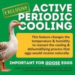 HB700C Egg Incubator with Hatcher Combo. Automatic Egg Turning and Humidity Control, Adjustable Egg Setter Trays, Perfect Poultry Incubator, Set and Forget Design. - Cimuka by Hatching Time