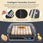 Sailnovo 35-65 Egg Incubator with Automatic Egg Turner, ℉ Temperature Display and Control, Auxiliary Humidity Control, Hatcher Breeder for Hatching and Breeding Chickens, Quail, Ducks, Geese Eggs