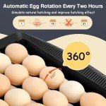 Sailnovo 35-65 Egg Incubator with Automatic Egg Turner, ℉ Temperature Display and Control, Auxiliary Humidity Control, Hatcher Breeder for Hatching and Breeding Chickens, Quail, Ducks, Geese Eggs