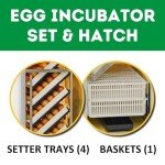 HB175C Egg Incubator with Hatcher Combo. Automatic Egg Turning and Humidity Control, Adjustable Egg Setter Trays, Perfect Poultry Incubator, Set and Forget Design. - Cimuka by Hatching Time