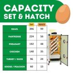HB175C Egg Incubator with Hatcher Combo. Automatic Egg Turning and Humidity Control, Adjustable Egg Setter Trays, Perfect Poultry Incubator, Set and Forget Design. - Cimuka by Hatching Time