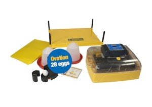 Brinsea Products USAF36CP Ovation 28 Advance Egg Incubator Classroom Pack, One Size