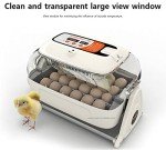 Rcom R-com King Suro 20 Fully Automatic Digital Egg Incubator with Warranty and Bonus Candler