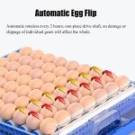 256 Eggs Automatic Egg Incubator, LED High-Efficiency Automatic Egg Turning & Temperature Control, Automatic Ventilation Egg Incubators for Hatching Chicken Duck Goose Birds (256 Eggs)