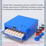 256 Eggs Automatic Egg Incubator, LED High-Efficiency Automatic Egg Turning & Temperature Control, Automatic Ventilation Egg Incubators for Hatching Chicken Duck Goose Birds (256 Eggs)