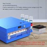 256 Eggs Automatic Egg Incubator, LED High-Efficiency Automatic Egg Turning & Temperature Control, Automatic Ventilation Egg Incubators for Hatching Chicken Duck Goose Birds (256 Eggs)