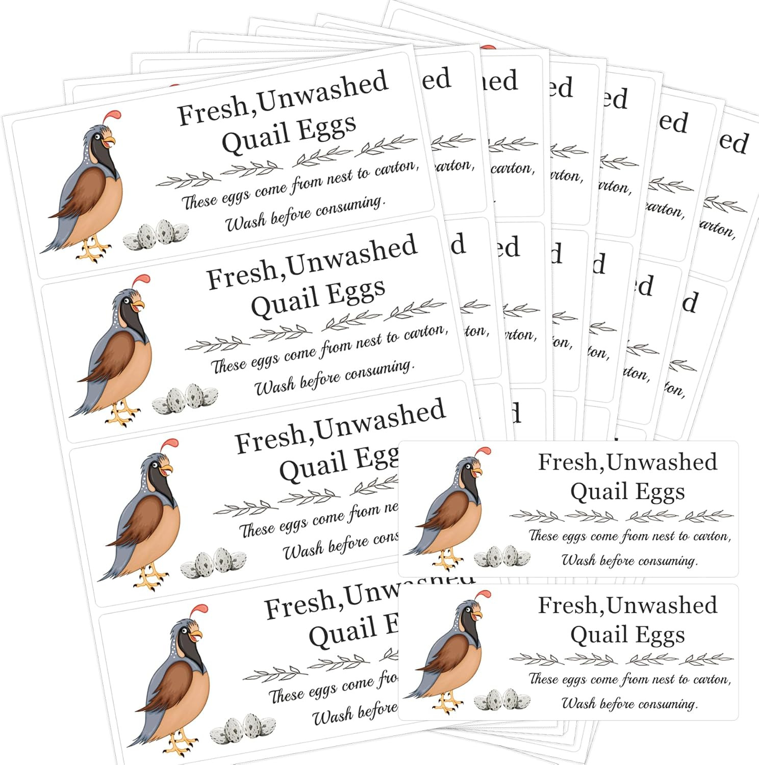 Quail Egg Carton Stickers - Farm Fresh Design