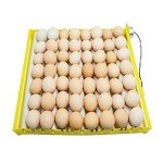 Morishima Automatic Multifunction Incubator Egg Tray Turning Hatcher for Chickens/Ducks/Birds/Poultry（9 Tubes）