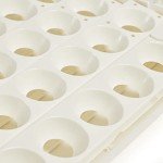 Farm Innovators 3200 Automatic 41 Spot Egg Turner for the Bottom of Incubators to Eliminate Manual Handling and Improve Hatching Rate, White (2 Pack)