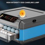 Egg Incubator, Fully Automatic Poultry Hatcher + Intelligent Temperature Control and Humidity Control, Efficient Turning Hatcher for Chickens Ducks Geese Birds