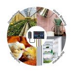 KETOTEK Temperature Humidity Controller Digital Thermostat Module 120V, Heating Cooling Humidification and dehumidification Control 110V 10A, Fahrenheit Display