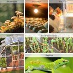 KETOTEK Digital Temperature and Humidity Controller Outlet, Reptile Thermostat Plug Dual Stage Pre-Wired for Mushroom Greenhouse Homebrew