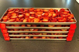16Pack Harvest Right Freeze Dryer Extra Tall Tray Stackers Fits All sizes - Red