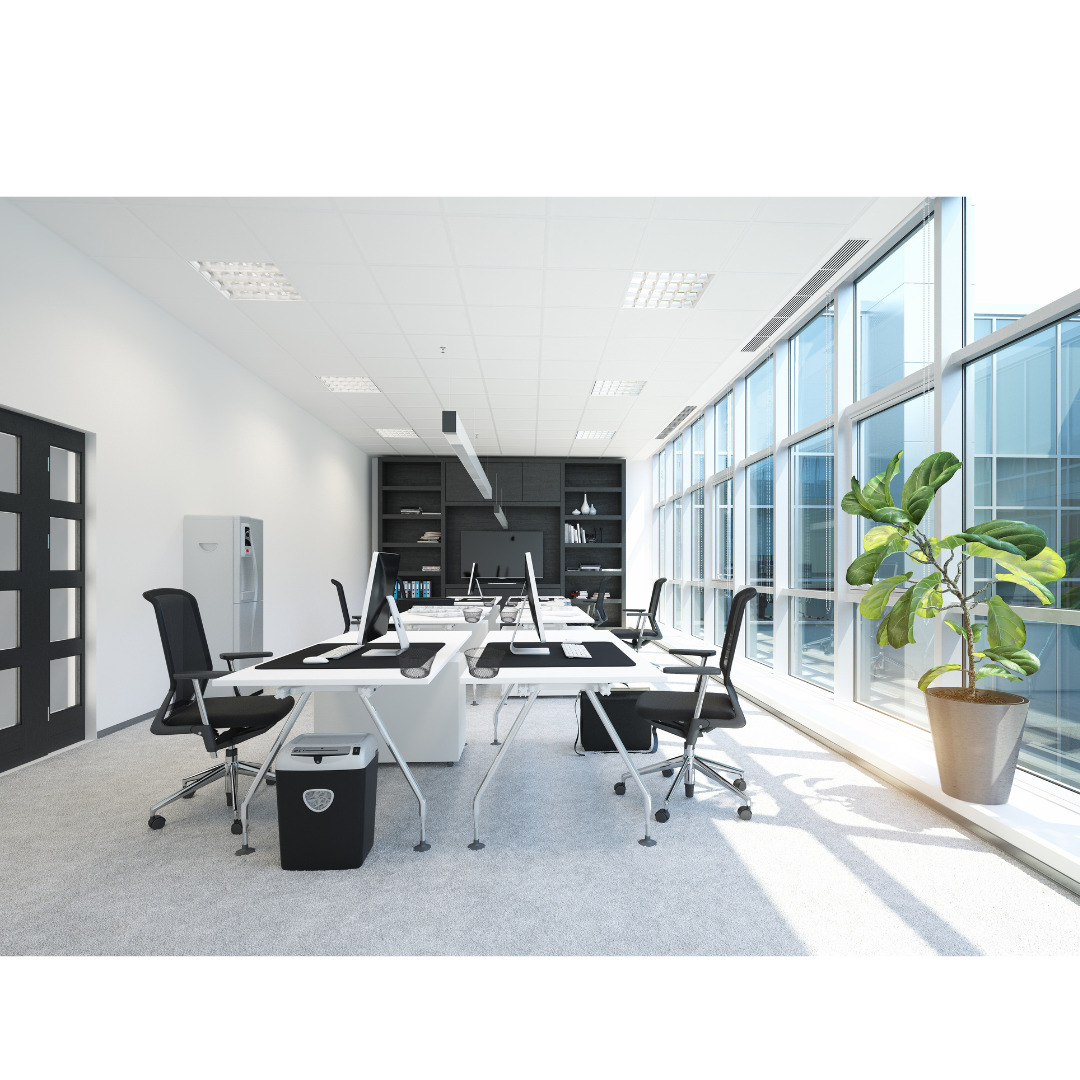 6-Pack Black Round Wire Baskets for Quail eggs