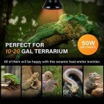 Simple Deluxe 50W (Mini) Ceramic Heat Emitter Reptile Heat Lamp Bulb No Light Emitting Brooder Coop Heater for Amphibian Pet & Incubating Chicken, Black, 4-Pack