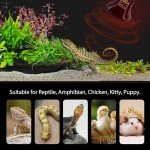BNOSDM Reptile 75W Ceramic Heat Emitter,4 Pack Reptile Heat Lamp Bulbs,Non Light Emitting,Brooder Coop Heater Lamp Bulb for Amphibian Reptile Lizard Turtle Chicken