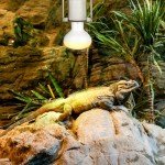 Trakem Reptile Ceramic Socket, Heat Lamp Holder for Terrariums and Vivariums, Gecko Lizard Heat Lamp Bracket Light Fixture, Bulb Not Included