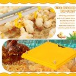 VIHOSE 20" x 20" Extra Large Brooder Heater for Chicks Brooder Heating Plate Pet and Poultry Warmer Warms up to 55 Chicks Adjustable Height and Livable Temperature 140 Fahrenheit