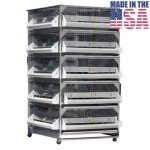 Brooder GQF Battery Brooder Deck Game Bird Poultry 5 Box Brooder 0540 Poultry