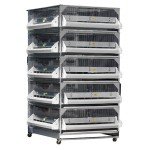 GQF 5 Stacked Grow Off Pen, One for Birds & Chicks 0705