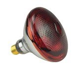 BONGBADA 2 Pack Heat Lamp Infrared Bulbs PAR38 Glass Lamp Bulb for Food Service, Brooder Bulb, Chicks, Pet, Bathroom, Light Therapy Use E26 Base, Flood Light Heat Lamp Bulb. (Red, 250W)