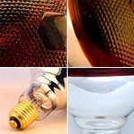 BONGBADA 2 Pack Heat Lamp Infrared Bulbs PAR38 Glass Lamp Bulb for Food Service, Brooder Bulb, Chicks, Pet, Bathroom, Light Therapy Use E26 Base, Flood Light Heat Lamp Bulb. (Red, 250W)