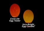 Incu-Bright™ Cool Light Egg Candler & Tester | 9 LED | Ultra Bright and Compact