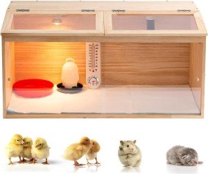 Large Wooden Chicken Brooder Box with Bulb Set and Thermometer（32x16x16 Inches）