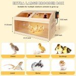 Large Chicken Brooder Box for Chick, Extra Wide Wooden Brooder Box 31.5" with...