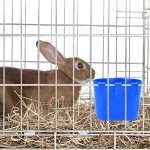 18pcs Cage Feeder Cup For Pet Pigeon Food Poultry Supplies Storage Feeder Bowl