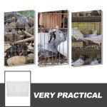 Quail Feeder Quail Cage Feeder Pigeon Feeder Bird Cage Feeder Pigeon Supply