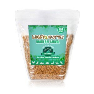 5-44LB Dried Black Soldier Fly Larvae Mealworms for Chicken Birds Treats Premium