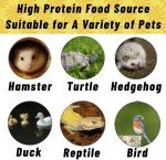 11 LB Dried Black Soldier Fly Larvae BSFL Birds Natural Food Chickens Hen Treats