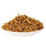 11 LB Dried Black Soldier Fly Larvae BSFL Birds Natural Food Chickens Hen Treats