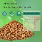 hatortpet Dried Black Soldier Fly Larvae 10LB-Pure Natural Non-GMO BSF Larvae for Chickens-More Calcium Than Mealworms High-Protein Chickens Treats for Layer Hens Wild Birds Ducks