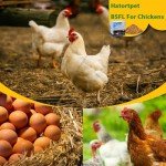 hatortpet Dried Black Soldier Fly Larvae 10LB-Pure Natural Non-GMO BSF Larvae for Chickens-More Calcium Than Mealworms High-Protein Chickens Treats for Layer Hens Wild Birds Ducks