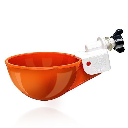 Drinker Cups