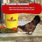 Backyard Barnyard 4 Pack Automatic Poultry Cup Waterer Drinker for Chicken Ducks Quail