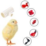 Hedume 40 Pack Chicken Waterer PVC Tee Fittings, PVC Tee Fittings for Threaded Poultry Nipples Chicken Water Drinker and Feeder Cups, Fully Automatic Poultry Waterers