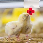 Hedume 40 Pack Chicken Waterer PVC Tee Fittings, PVC Tee Fittings for Threaded Poultry Nipples Chicken Water Drinker and Feeder Cups, Fully Automatic Poultry Waterers