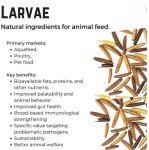 Black Soldier Fly Composting Bin