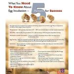 Farm Innovators Model 2450 Pro Series Digital Circulated Air Egg Incubator with Automatic Egg Turning and Humidity Control, 41 Egg Capacity