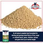 Kalmbach Feeds 20% Flock Maker Crumbles for Mixed Flocks of Poultry, 50 lb