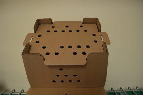 Live Chick Shipping Cartons